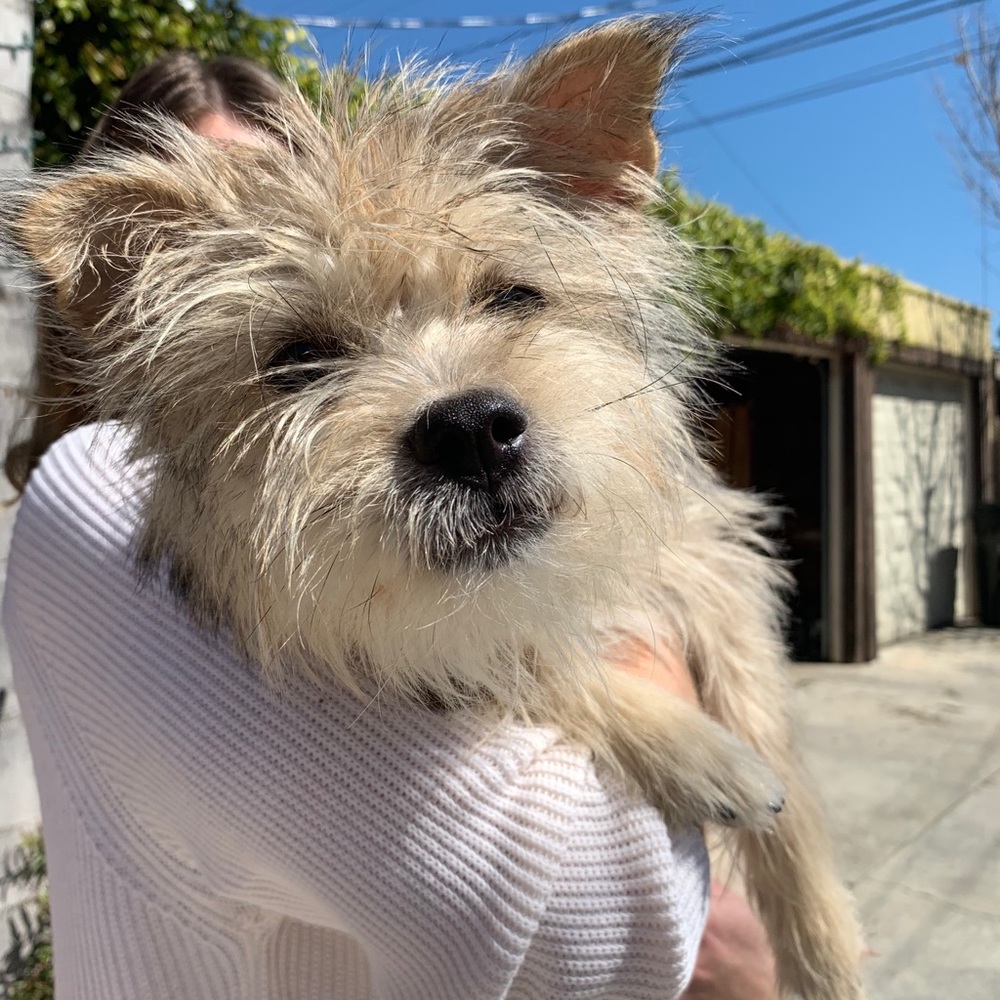 Meet your Posher, Eden